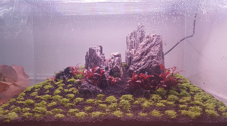 Après environ 1 mois de Dry start