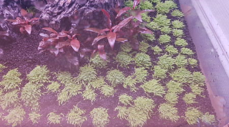 Après environ 1 mois de Dry start