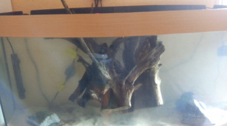 Mise en eau 300L Léo