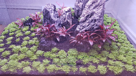 Après 2 mois de Dry start