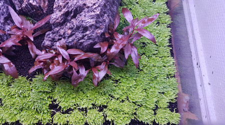 Après 2 mois de Dry start