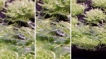 Après 3 mois de Dry start