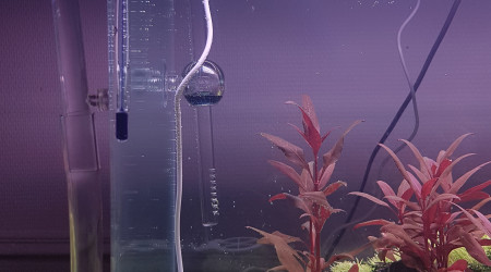 Mise en eau après 3 mois de DSM