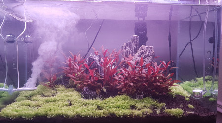 Mise en eau après 3 mois de DSM