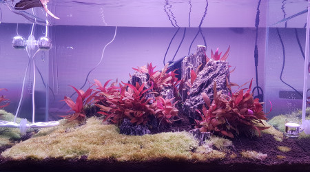 Une petite taille s'impose !