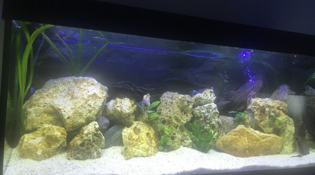 aquarium Lo
