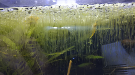 Une petite partie de cache-cache !