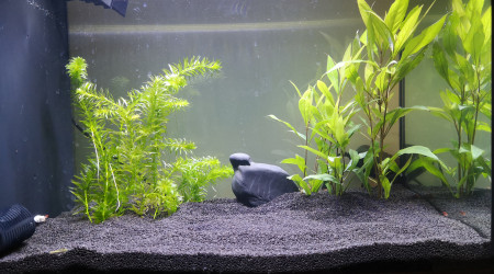 aquarium Fluval Spec 60L