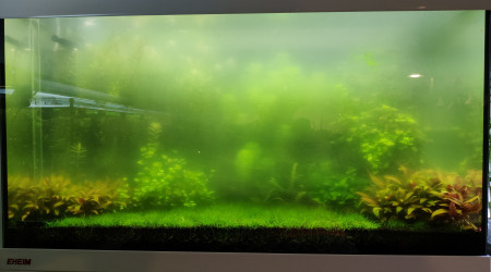 Premier bébé Red Crystal