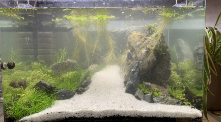 Changement du sable blanc