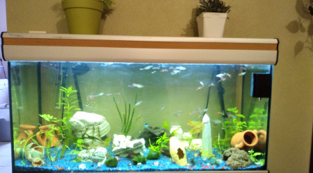 Bac communautaire 120l