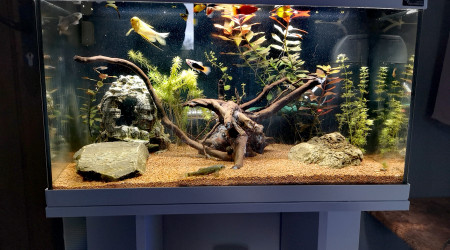 aquarium Aquatlantis 60L