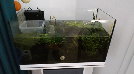 Changement d'eau partiel