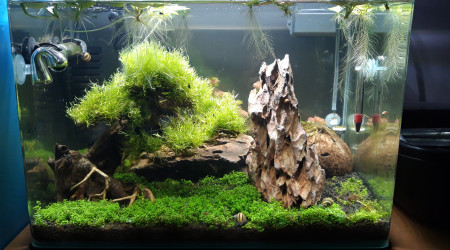 Résultat final au 23/02/2020