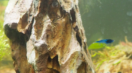 Toujours plus de photos