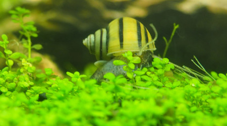 Toujours plus de photos