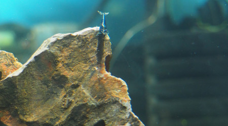 Toujours plus de photos