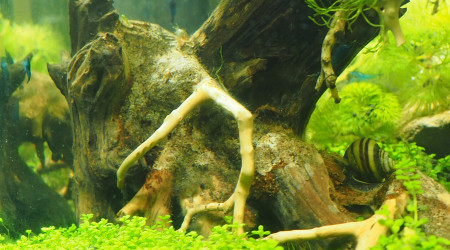 Toujours plus de photos