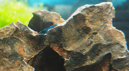 Toujours plus de photos