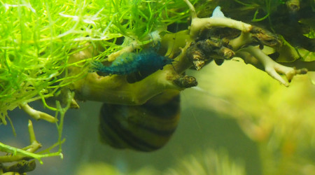 J'attends un heureux évènement :D