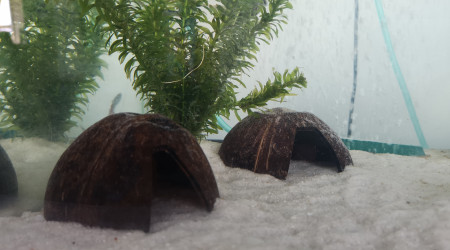 Cachette fait maison