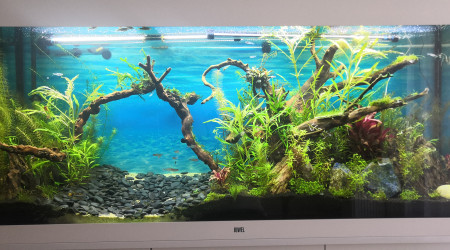 aquarium Juwel 450