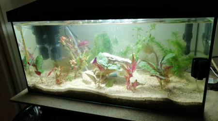 aquarium aqua60