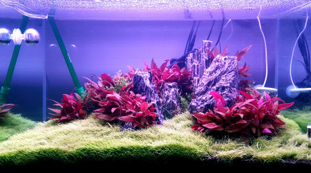 Jour 135 depuis le début du DSM