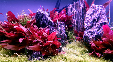 Jour 135 depuis le début du DSM