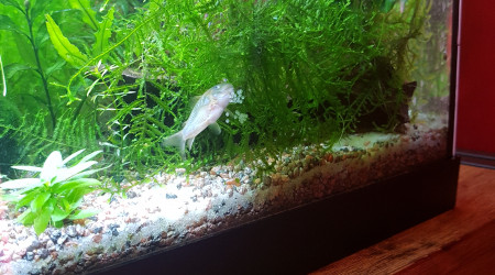 Et 4 jours plus tard... ça recommence...