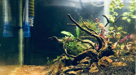 aquarium Na Style 2