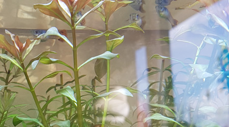 Un retour parmis la tribu