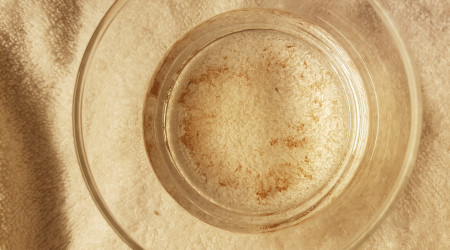 Sauvetage d'alevins corydoras