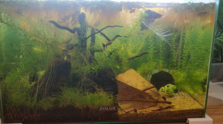 aquarium Bac 20L