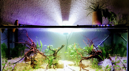 aquarium 240 litres