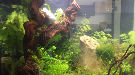 aquarium LePoissonRouge