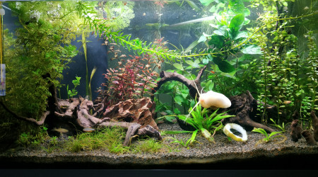 Encore une petite taille nécessaire