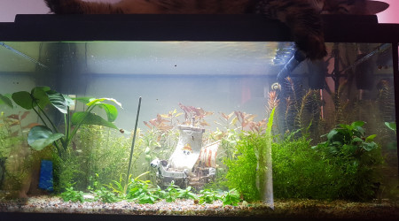 Changement d'eau + Grosse taille