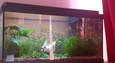 Tout le monde en avant!