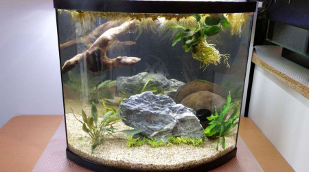 aquarium Bac 30L