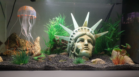 Les bébé grandisse