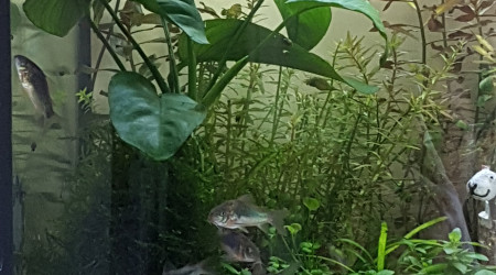 Ça danse et ça s'amuse !