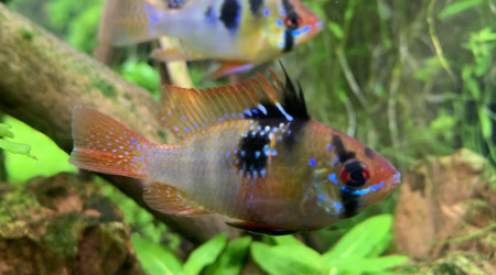 Suzanne et Gaston prennent la pause