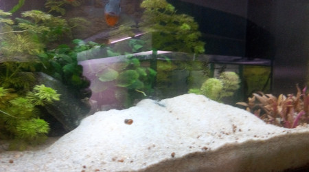 Quand les Meekis refont la géographie locale...