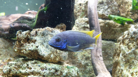 C'est l heure a table