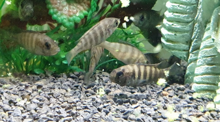 C'est l'heure de prendre des forces