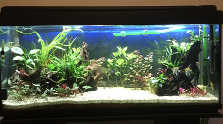 aquarium 250 litres