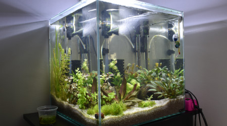 aquarium 54L cubique