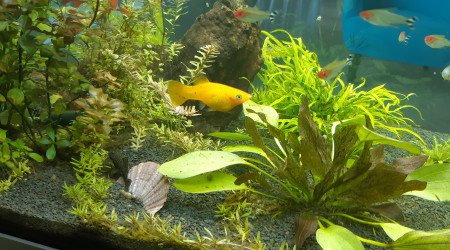 aquarium Rio 180