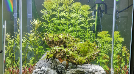 aquarium Bac 25l